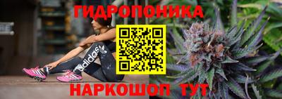 трава Партизанск