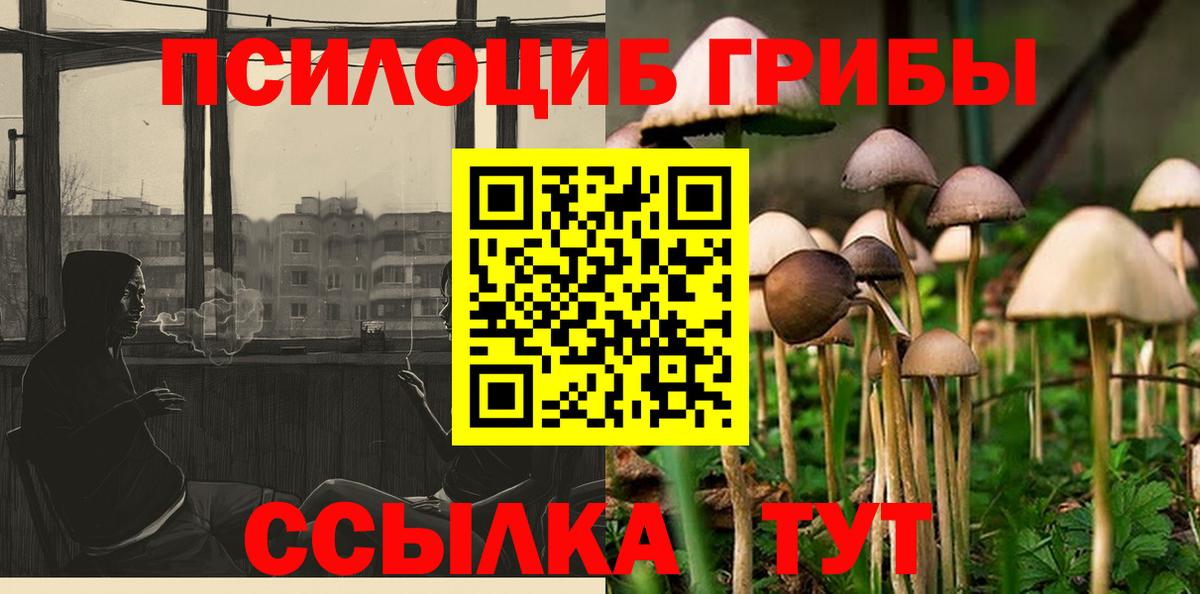 Галлюциногенные грибы прущие грибы  Псилоцибиновые грибы Cubensis  Вход с VPN  Туапсе 